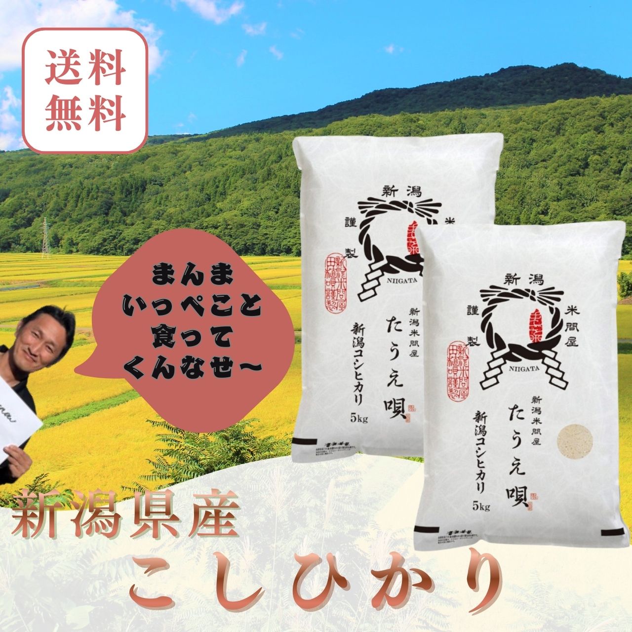 米　令和7年　10kg　送料無料　新潟産こしひかり　10kg（5kg&times;2）【メーカー直送】送料無料　米　お米　白米　ブランド米　新潟から産直販売　お祝い　ギフト【安心安全米】コシヒカリ/こしひかり　母の日　父の日　骨取りサバ　に合う米｜新潟米問屋「たうえ唄」