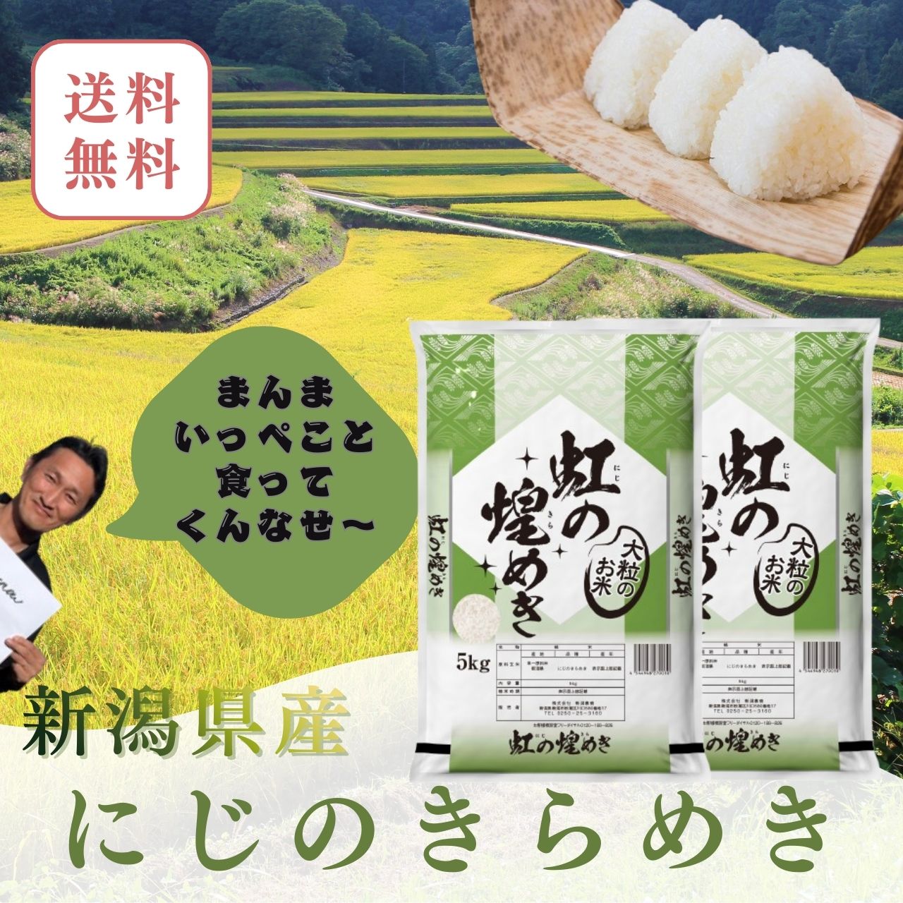 楽天市場】米 令和7年 10kg 送料無料 新潟産こしひかり 10kg（5kg×2