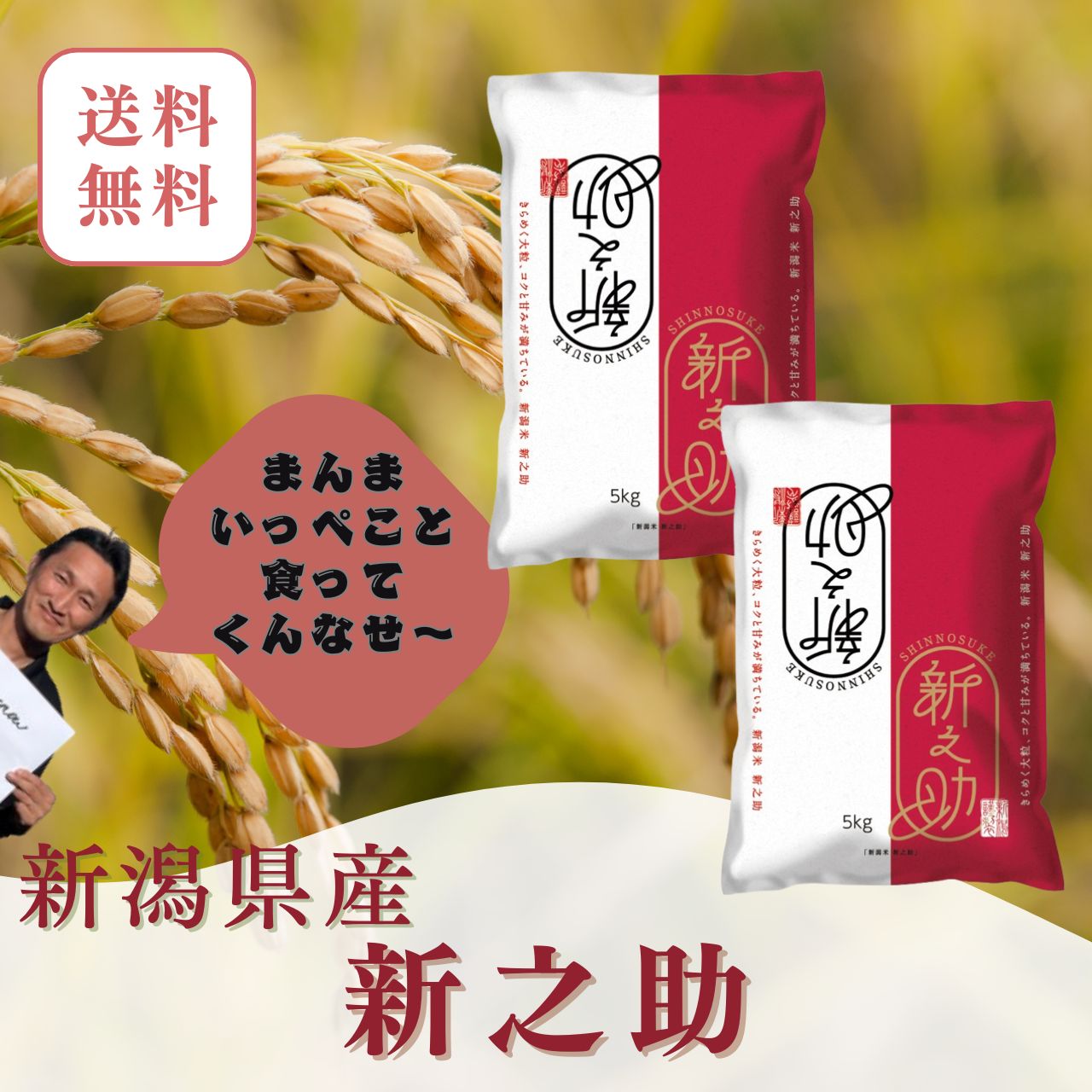 楽天市場】新之助 米 白米 10kg（5kg×2） 五つ星米マイスター厳選 新潟