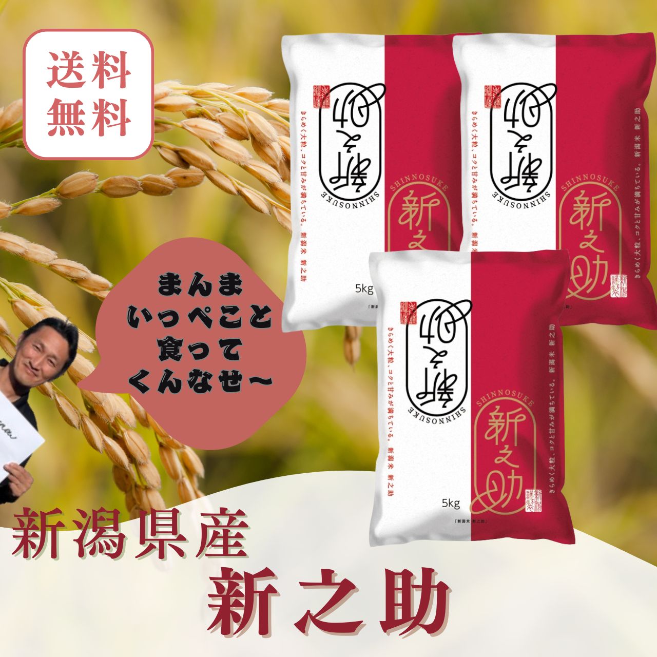 楽天市場】新潟県産 新之助 米 白米 5kg 五つ星米マイスター厳選 新潟