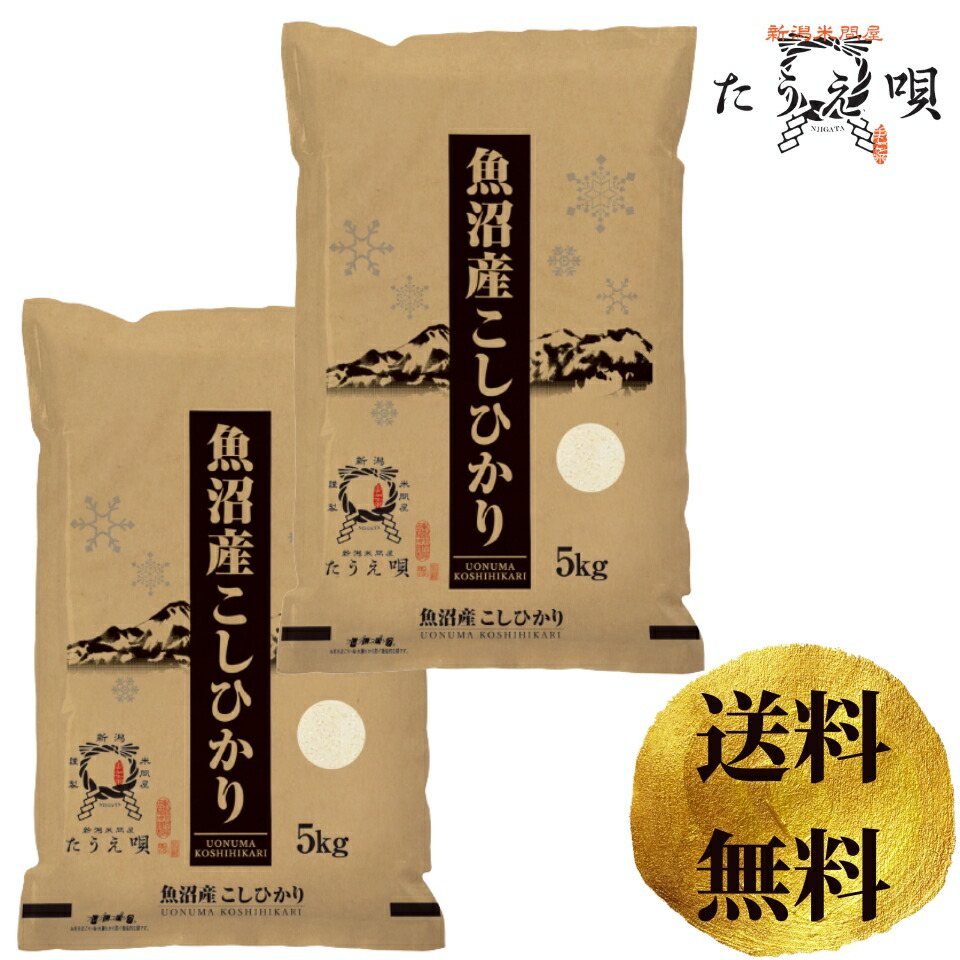 魚沼産こしひかり　10kg（5kg×2）送料無料　令和6年産　期間限定　お米/米　ブランド米　新潟から産直販売/直送【お祝/ギフト】　10kg　精米【安心安全米】父の日　母の日