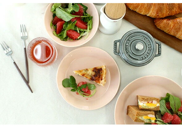 イッタラ ティーマ パウダー プレート 21cm iittala Teema