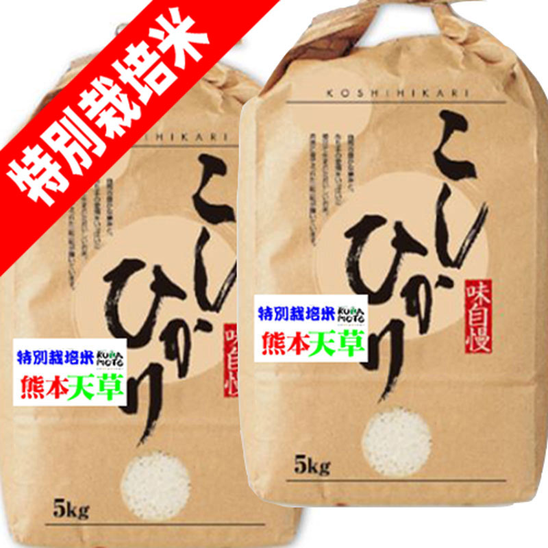 分つき米 玄米 7分づき 5分づき 米10kg (5kg×2) コシヒカリ 熊本県産 天草 特別栽培米 出荷日精米 送料無料 お米 令和7年産
