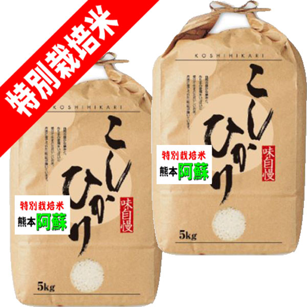 分つき米 玄米 7分づき 5分づき 米10kg (5kg&times;2)コシヒカリ 熊本県産 阿蘇 特別栽培米出荷日精米 送料無料 お米 令和7年産｜お米のたわら屋
