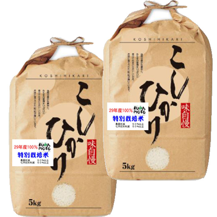 【楽天市場】分つき米 玄米 減農薬 米 10kgコシヒカリ 熊本県産 阿蘇 特別栽培米 30年産 送料無料お米 九州のお米：お米のたわら屋