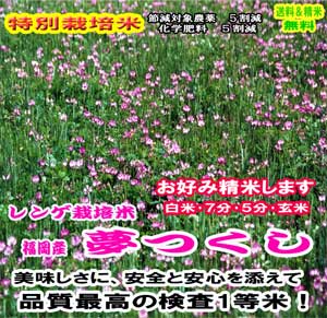 楽天市場 福岡産れんげ栽培米夢つくし 特別栽培米 令和2年産 特a 送料無料 精米4 5kg Or 玄米5ｋｇ九州のお米 分づき米 お米のたわら屋