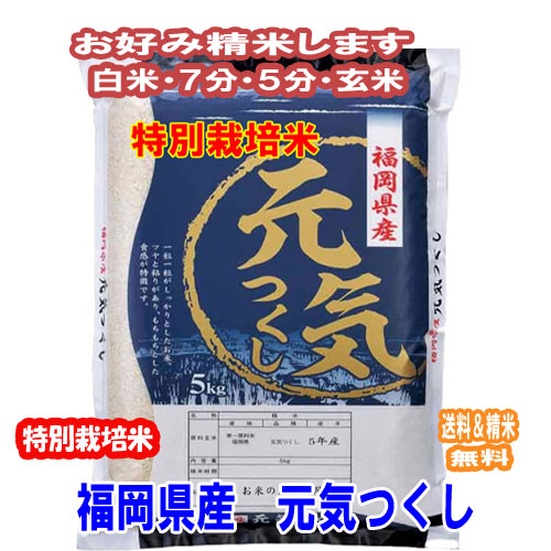 楽天市場】分つき米 玄米 7分づき 5分づき 特A 米10kg(5kg×2)特別栽培