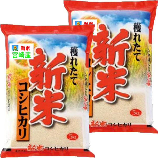 お米 5kg×2 新米 お米 米 5kg 白米 送料無料 宮崎県産 あきたこまち 新米 令和6