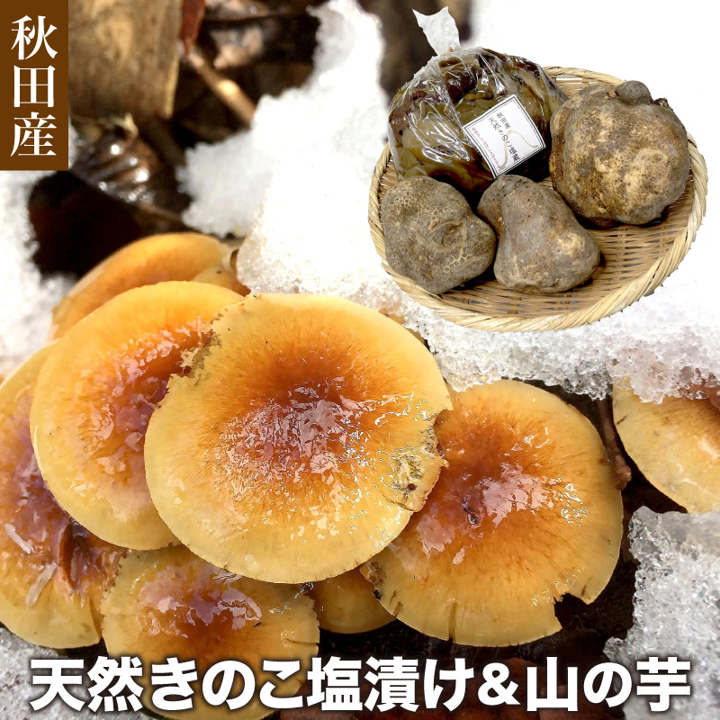 楽天市場】天然なめこ1kg 【ご予約受付中11月発送】秋田産 採れたて天然きのこをクール便にて直送 ナメコ : 田沢湖山幸園