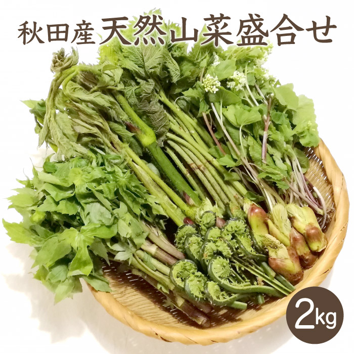 秋田県産 葉わさび 山わさび 採れたて 【公式通販】