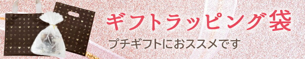 楽天市場】ラッピング 袋 特大 袋 2枚セット グリーン リボン付き ラッピング 包装袋 梨地 ポリ袋 大きい プレゼント用 ギフト袋 特大 大きい 平袋  ビニール袋＜ネコポス配送＞ : TBnexus