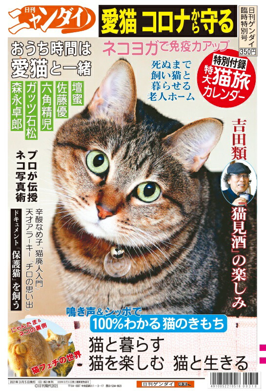 楽天市場 ３月５日発行 日刊ゲンダイ 臨時特別号第５弾 日刊ニャンダイ 定価350円 システム料 送料0円 T Box