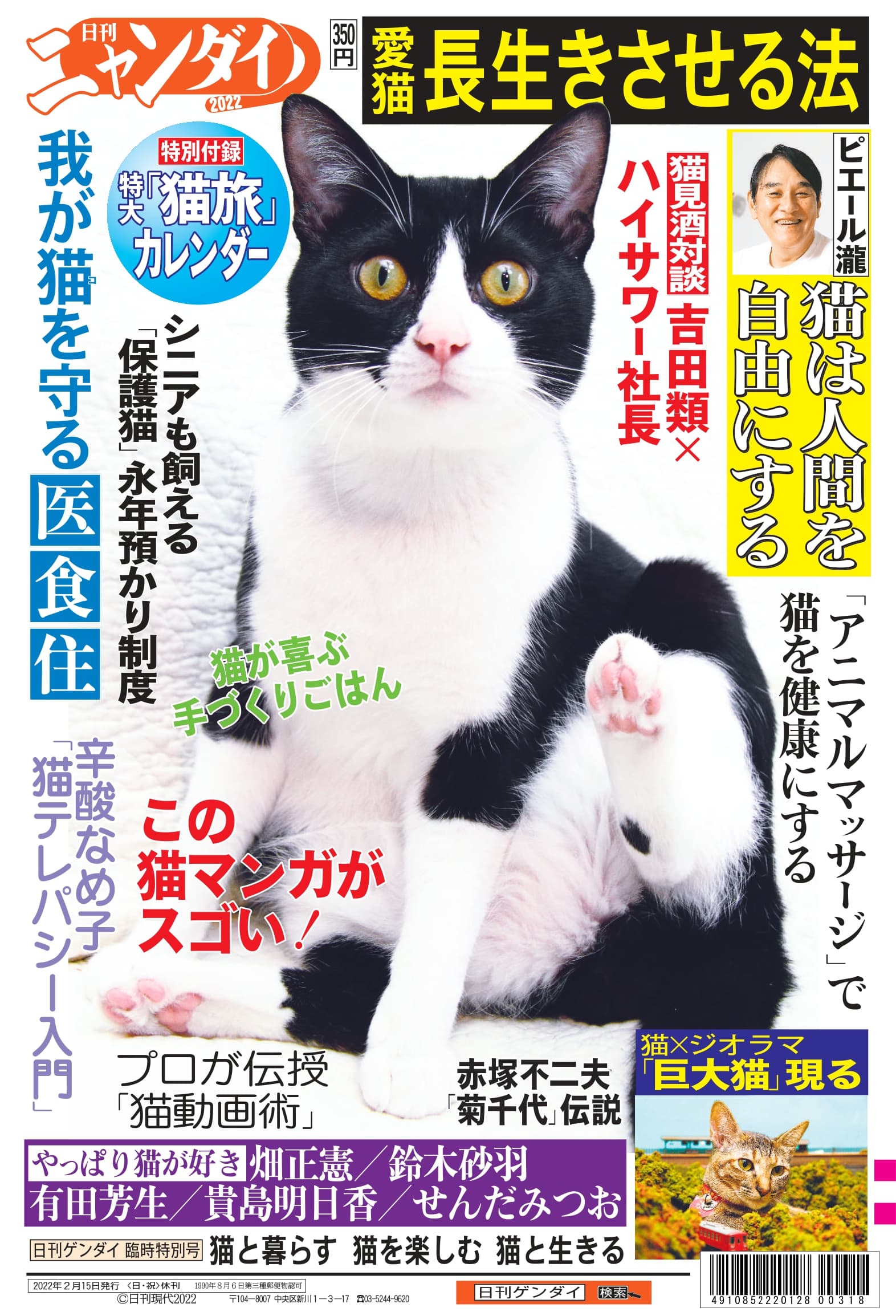 楽天市場 日刊ニャンダイ21 と 日刊ニャンダイ22 お得な2紙セット T Box
