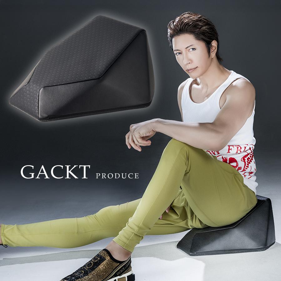 楽天市場】エクストラリリース専用本体カバー ／ GACKT カバー かばー