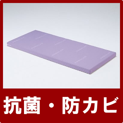 (83cm幅）レギュラーサイズ用 (スタンダードマットレス) パラマウントベッド製プレグラーマットレス