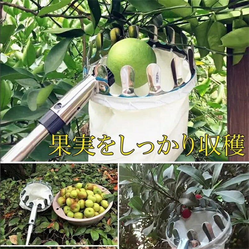 フルーツピッカー 果物取り 高枝切りばさみ 伸縮式 高枝鋏 果物 刈りいれる物の具 ピッ第一人者物の具 果物捕手 軽さ ベリーピッカー 園芸物の具 ガーデニングツール 園地装置 手動 好いたらしい りんごの木 オレンジ色 マンゴー 差し上げ物 差し上げ物 差し上げ物 貨物輸送無料