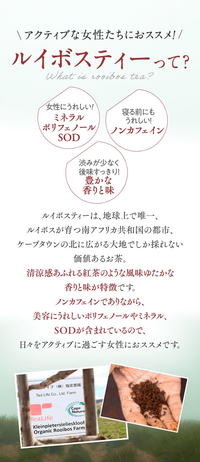 楽天市場 プレミアム オーガニック ルイボスティー ポット用 30個入 ルイボス茶 ノンカフェイン ルイボス オーガニック お茶 ティーバッグ 有機 ルイボスティー 健康茶 ティーライフ ティーライフshop 健康茶 自然食品