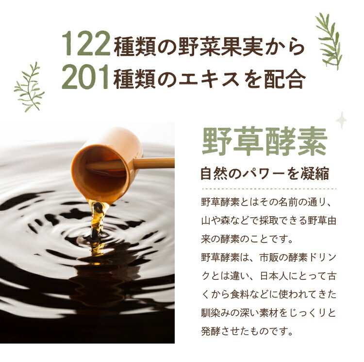 楽天市場 アサイー 酵素 スムージー 希少糖入 個包装 31包 グリーンスムージー 希少糖 アサイー アサイースムージー 酵素スムージー 送料無料 ティーライフshop 健康茶 自然食品