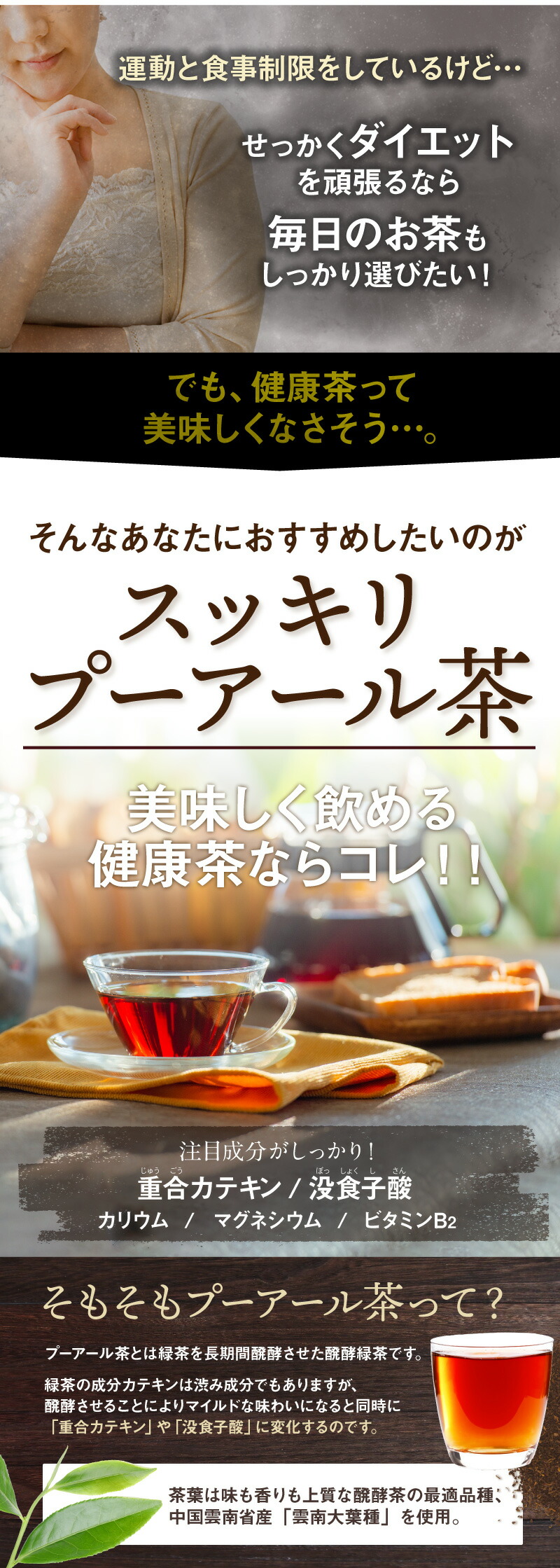 【定期購入】スッキリ プーアール茶 ポット用120個入 ティーバッグ プーアル茶 プアール茶 黒茶 蒸気殺菌 飲みやすい お茶 健康茶 健康飲料 ティーパック ティーライフ