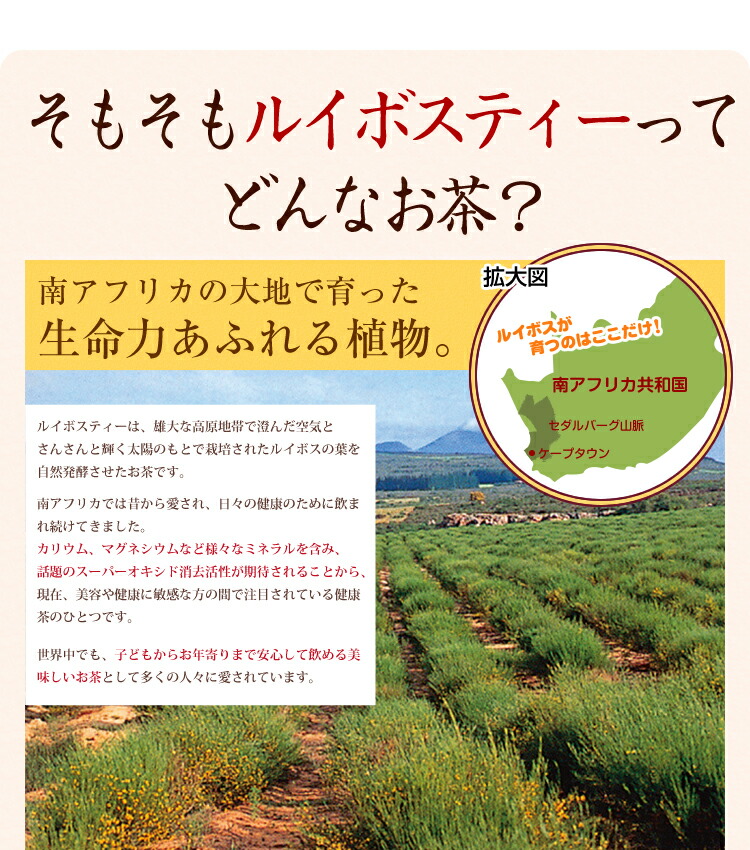 ルイボスティー どくだみルイボスティー どくだみルイボス ティーライフ どくだみ ノンカフェイン お茶 ティーバック ルイボス茶 ブレンドティー ルイボス 健康茶 10P03Dec16 ルイボスティー どくだみルイボスティー どくだみルイボス ティーライフ どくだみ ノンカフェイン お茶 ティーバック ルイボス茶 ブレンドティー ルイボス 健康茶 10P03Dec16