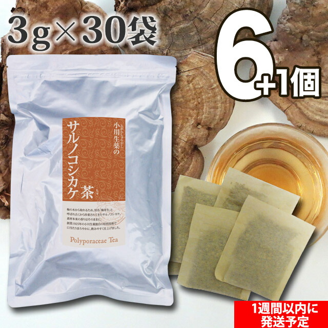 楽天市場】【送料無料】 小川生薬 サルノコシカケ茶 3g×30袋 無漂白ティーバッグ 4個セット : 株式会社 小川生薬