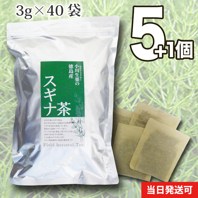 3g×40袋徳島産スギナ茶 3g×40袋小川生薬 5個セットさらにもう１個プレゼント 送料無料 【60％OFF】