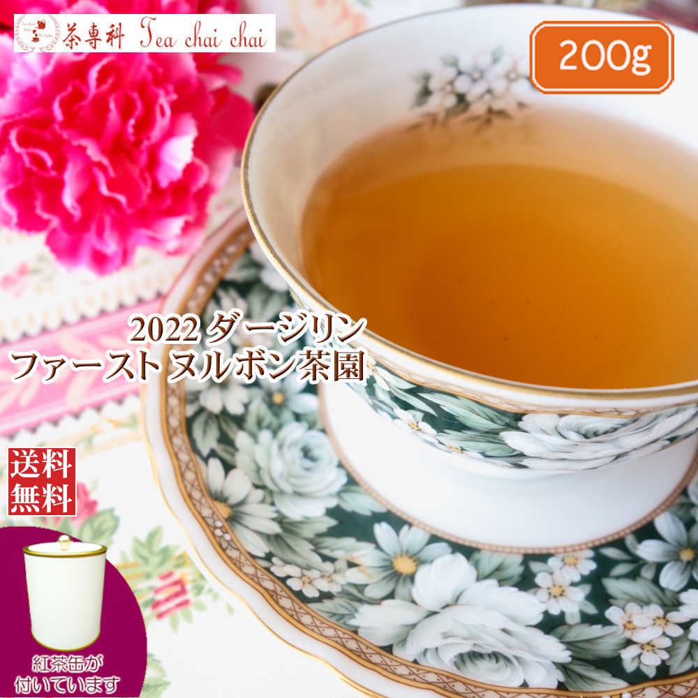 8233円 75％以上節約 紅茶 茶葉 ダージリン 茶缶付 ヌルボン茶園 ファースト FTGFOP1 EX12 2022 200g 紅茶専門店