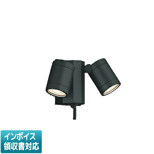 [法人限定] AU43205L コイズミ KOIZUMI エクステリアスポットライト LED 電球色 白熱球60W×2灯相当 [ AU43205L ]