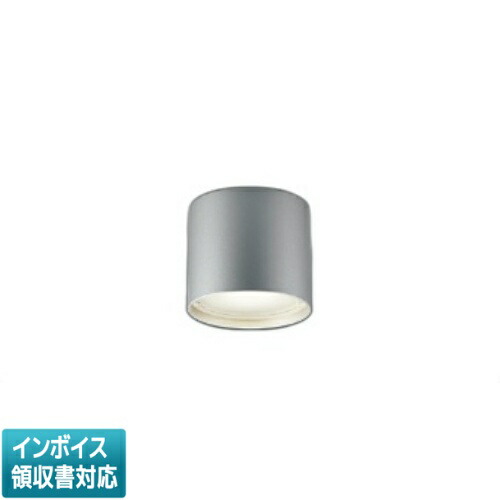 [法人限定] AU54780 コイズミ KOIZUMI 防雨防湿型シーリング 白熱球100W相当 非調光 昼白色 防雨・防湿型 [ AU54780 ]