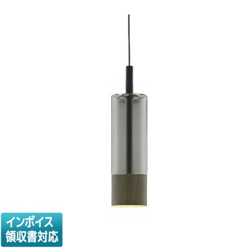 [法人限定] AP57319 コイズミ KOIZUMI ペンダント 白熱球60W相当 非調光 電球色 [ AP57319 ]