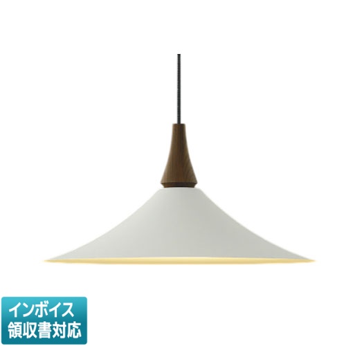 [法人限定] AP54859 コイズミ KOIZUMI ペンダント 白熱球100W相当 非調光 電球色 [ AP54859 ]