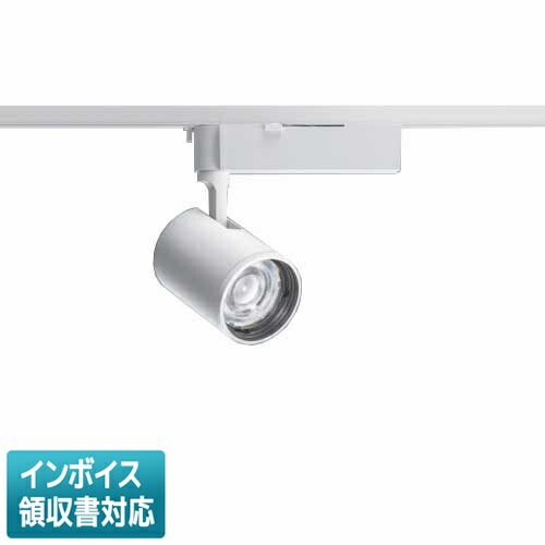 [法人制限事項] NTS02500W LE1 パナソニック 架線導管初っ切り型 昼白いこと 注目の的 配光合わせる役立つこと付 [ NTS02500WLE1 ]