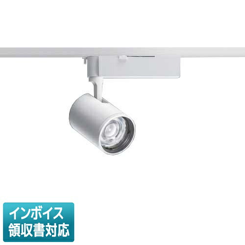 [法人制限事項] NTS02501W LE1 パナソニック 架線導管初っ切り型 白いこと 注目の的 配光合わせる役立つこと付 [ NTS02501WLE1 ]