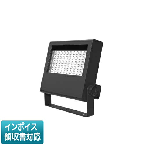 [法人制限事項] LEDS-08909LW-LS9 東芝 LED 写真用照明 重耐塩形 白熱電球色 [ LEDS08909LWLS9 ]
