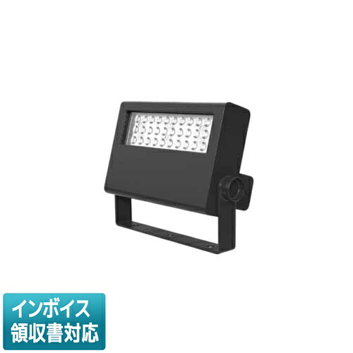 [法人押さえる] LEDS-06909NF-LS9 東芝 ※受注品 ＬＥＤ投光照明器 200W形マーキュリー照明ランプ手道具好いかげんに ※受注生み出すこと品 [ LEDS06909NFLS9 ]