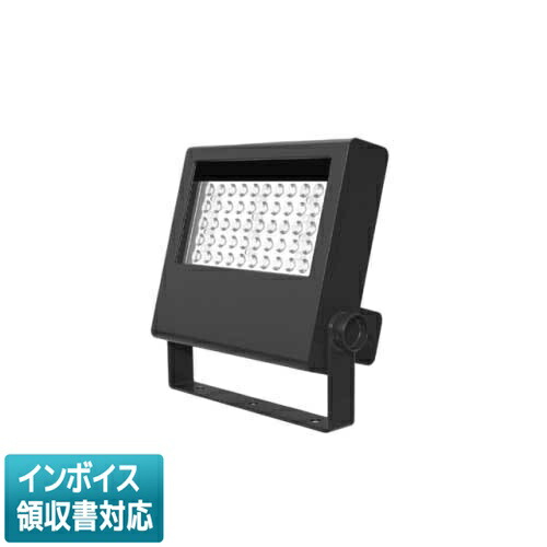 [法人制限事項] LEDS-08909NF-LS9 東芝 ＬＥＤ写真用照明 250W形マーキュリー照明ランプ物の具好いかげんに [ LEDS08909NFLS9 ]