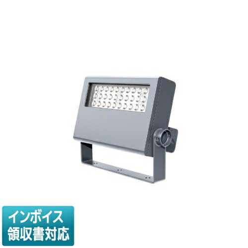[法人押さえる] LEDS-06910NF-LS9 東芝 ※受注品 LED 投光照明器 重耐塩形 昼白いこと ※受注生み出すこと品 [ LEDS06910NFLS9 ]