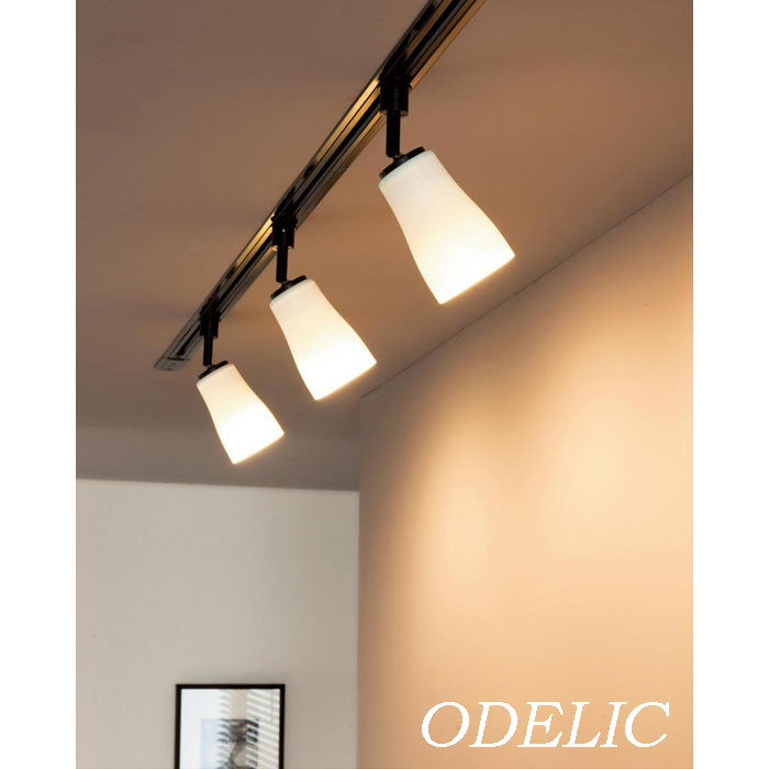 楽天市場】スポットライト LED プラグ ダクトレール 波佐見焼