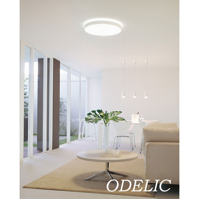 シーリングライト LED 12畳 10畳 8畳 北欧 おしゃれ リモコン付き led 正規品 定番 シンプル ODELIC リビング 寝室 子供部屋 調光 調色 オーデリック 天井照明 簡単取付 施設 病院 明るい かわいい 雲 ロングセラー OL251439R OL251134R OL251440R