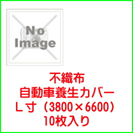 オート取りまかなう不織布四輪車用Ｌ寸〈青碧伝達ルート〉《10枚入り口・入口》3800×6600