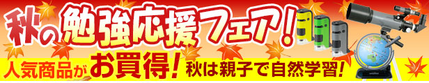 楽天市場】【ポイント5倍SALE】【学習文具】賞状ファイル（大B4判・八二サイズ） : 文具スタイル 楽天市場店