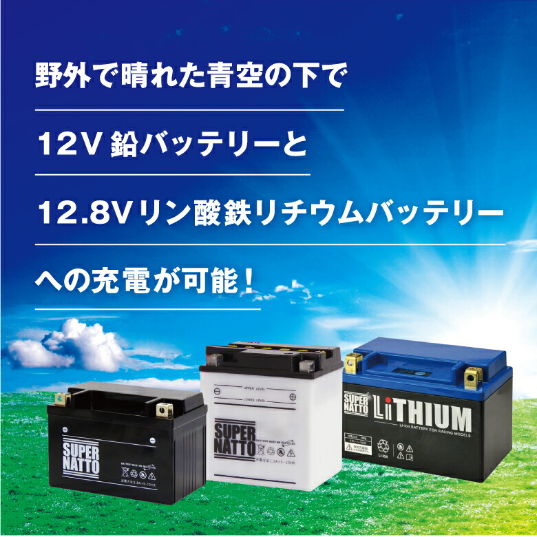 市場 ソーラーDC充電器 Duo Kit Travel OptiMate 10W TM-522-D1TK バイクバッテリー対応 Solar