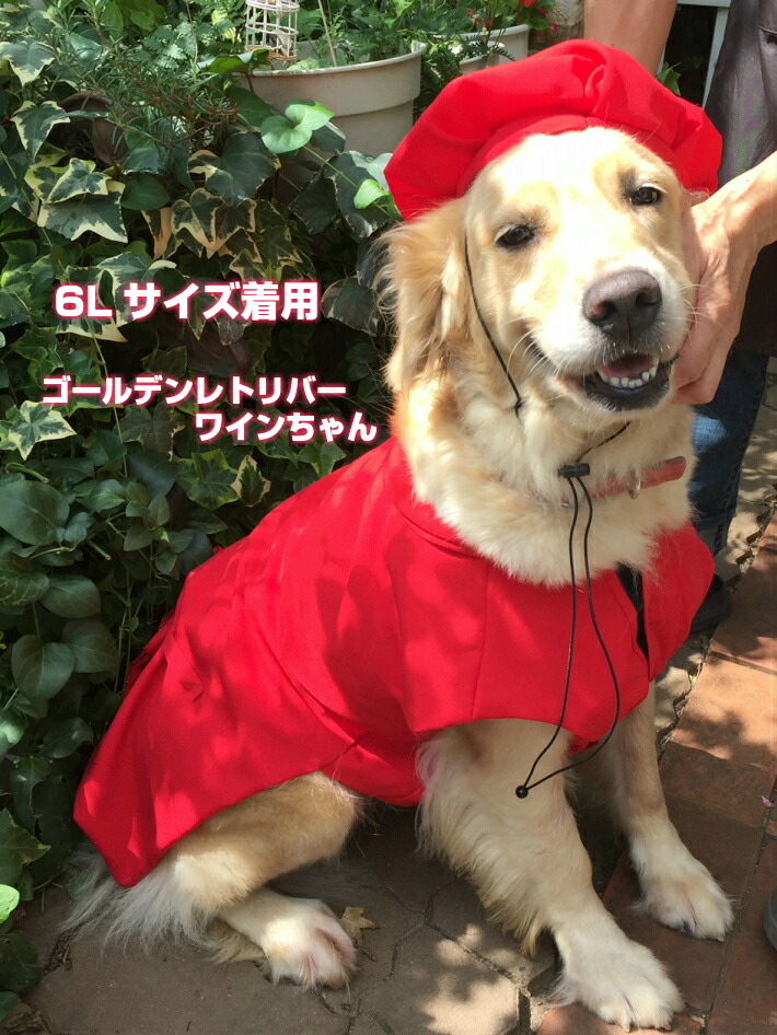 在庫限りで販売終了 大型犬 超大型犬 犬 服 春 夏 秋 冬 還暦 10歳記念 お祝い 赤 ちゃんちゃんこ 帽子 2点セット ギフト 記念日 プレゼント コスプレ Rcp 年賀状 写真撮影 インスタ映え Devils Bsp Fr