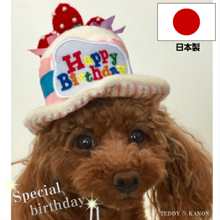 楽天市場 送料無料 ペットのワンちゃんの誕生日バルーンセット 犬用 ワンコグッズ 犬好き Dog Birthday 愛犬 誕生日パーティー 記念日 飾り付け 思い出 フォト 感謝 サプライズ バースデー プレゼント いつも一緒にいてくれてありがとう Devia Collection