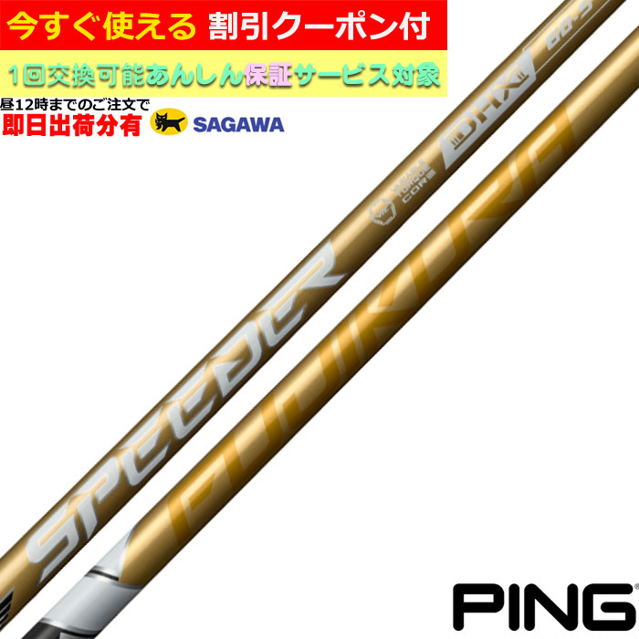 pin_spnx_gd_sa.jpg