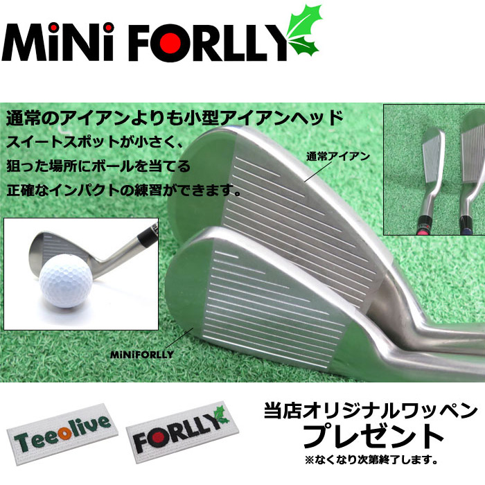 ボールを打てるスイング練習アイアン Mini FORLLY ＃7にフジクラ MCI