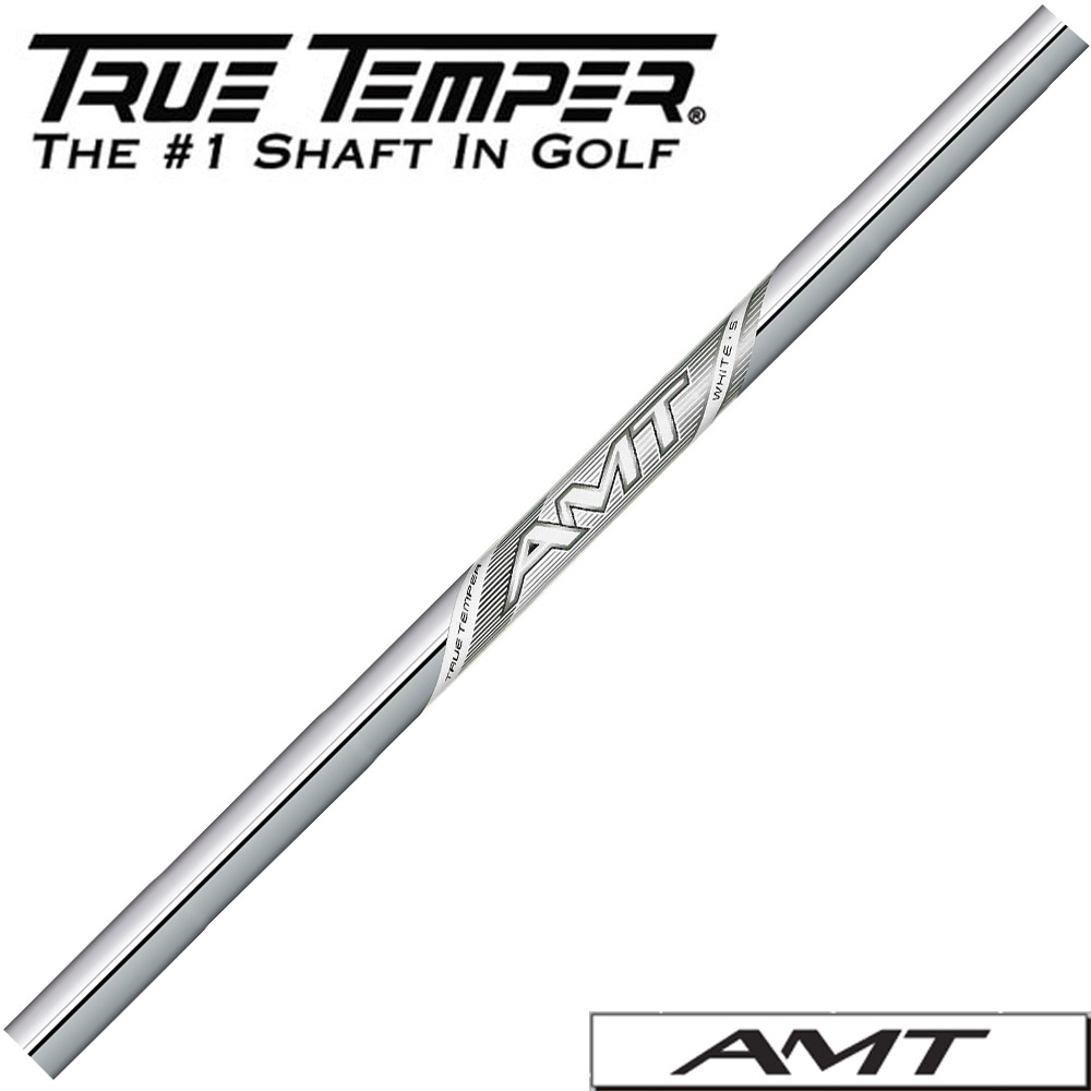 【ゴルフ有りがたさ祭エントリーでP3倍】【5-PW/6本仕掛ける】トゥルーテンパー TRUE TEMPER 2025年青写真 AMT WHITE AMT白いこと 日本遣りかた