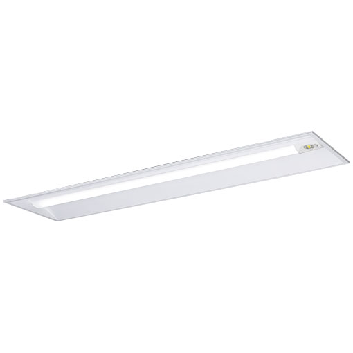 岩崎電気 非常用照明器具 ELBE4213 レディオック LEDベースライト 非常用照明器具（LEDユニット一体形） 器具本体