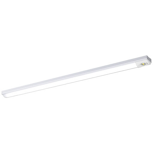 岩崎電気 非常用照明器具 ELBT4111 レディオック LEDベースライト 非常用照明器具 器具本体 （LEDユニット一体形）