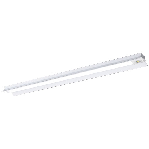 岩崎電気 非常用照明器具 ELBR4111 レディオック LEDベースライト 非常用照明器具 器具本体 （LEDユニット一体形）